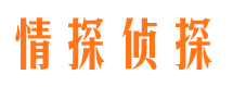 仪征市侦探调查公司